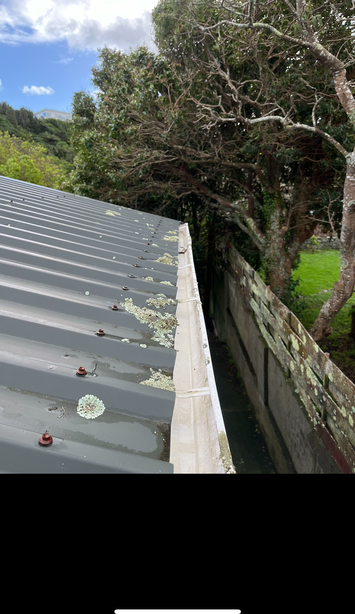 Clean, cleared gutter after a TrueShine gutter clean